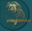 Young Monkey Studios
